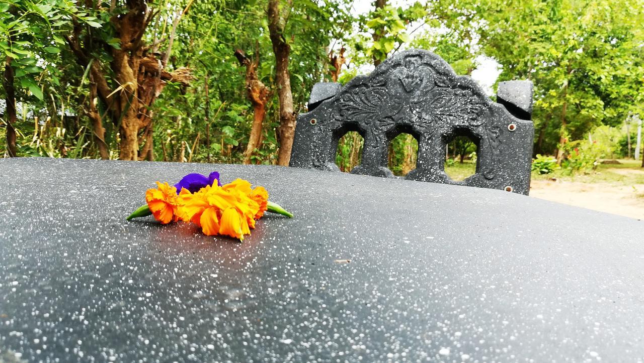 Araliya Self Cooking Resort Dambulla Buitenkant foto