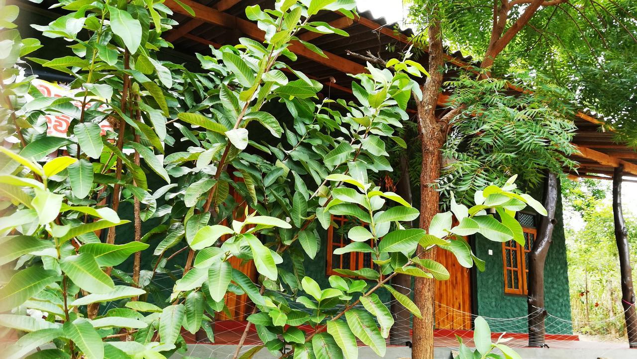 Araliya Self Cooking Resort Dambulla Buitenkant foto