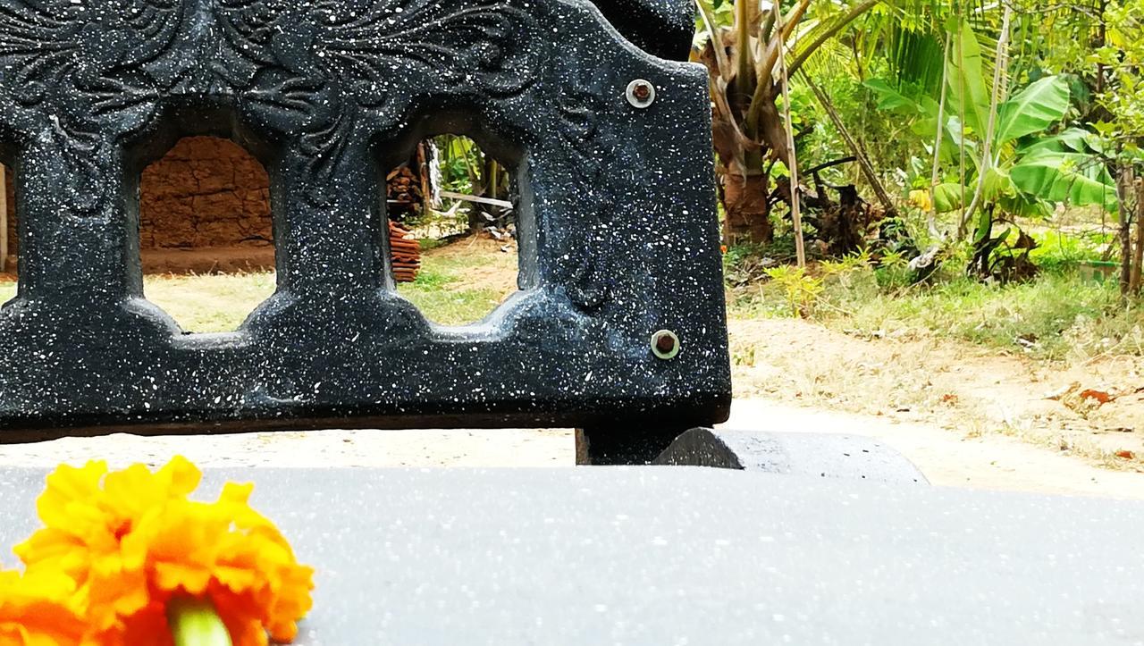Araliya Self Cooking Resort Dambulla Buitenkant foto