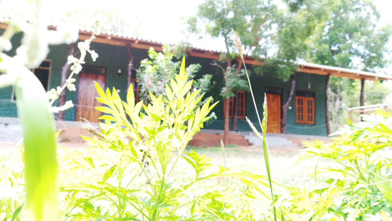 Araliya Self Cooking Resort Dambulla Buitenkant foto