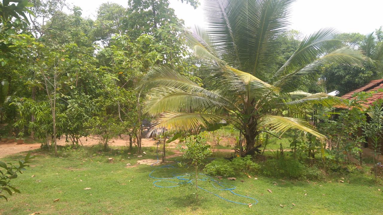 Araliya Self Cooking Resort Dambulla Buitenkant foto