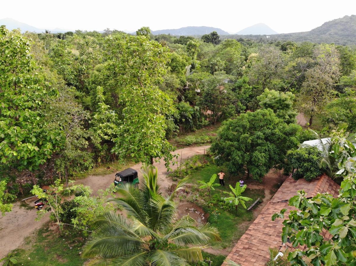 Araliya Self Cooking Resort Dambulla Buitenkant foto