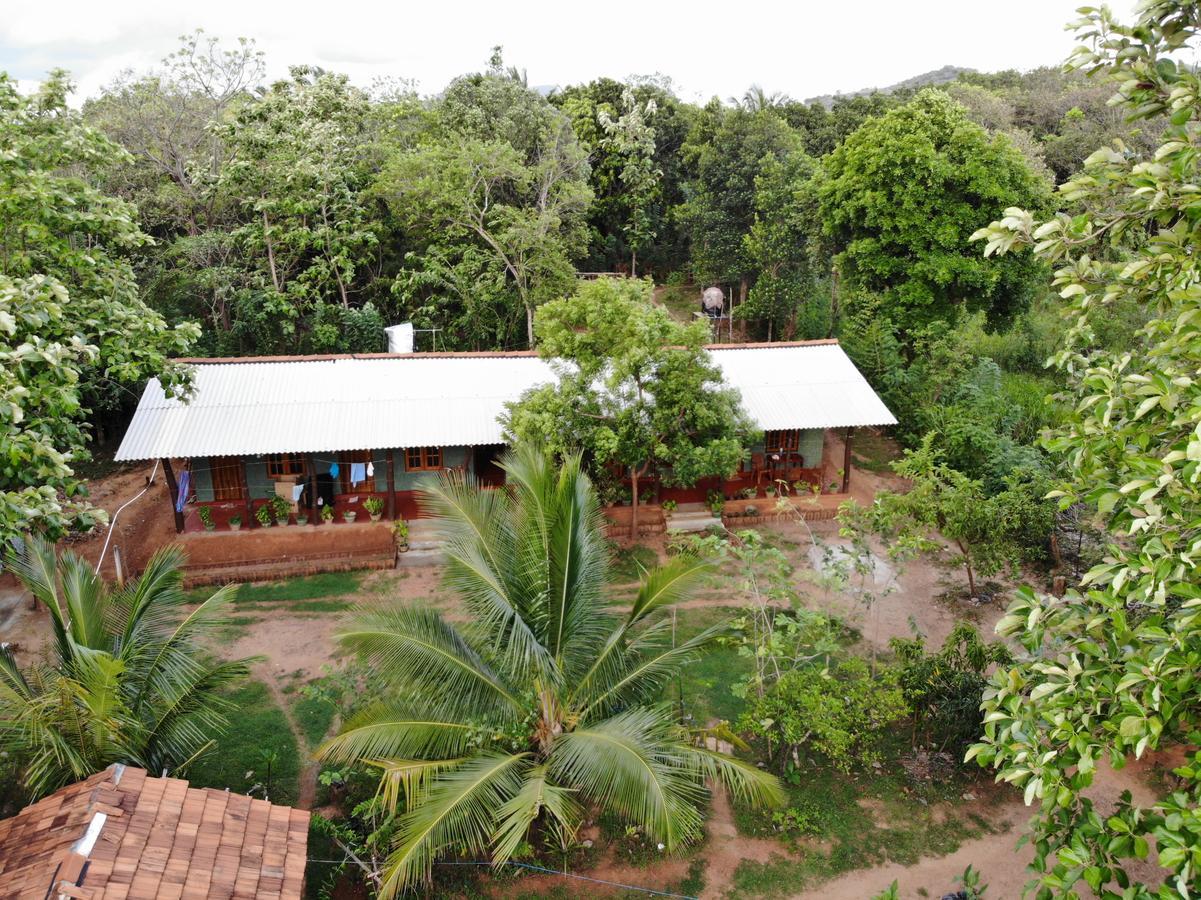 Araliya Self Cooking Resort Dambulla Buitenkant foto