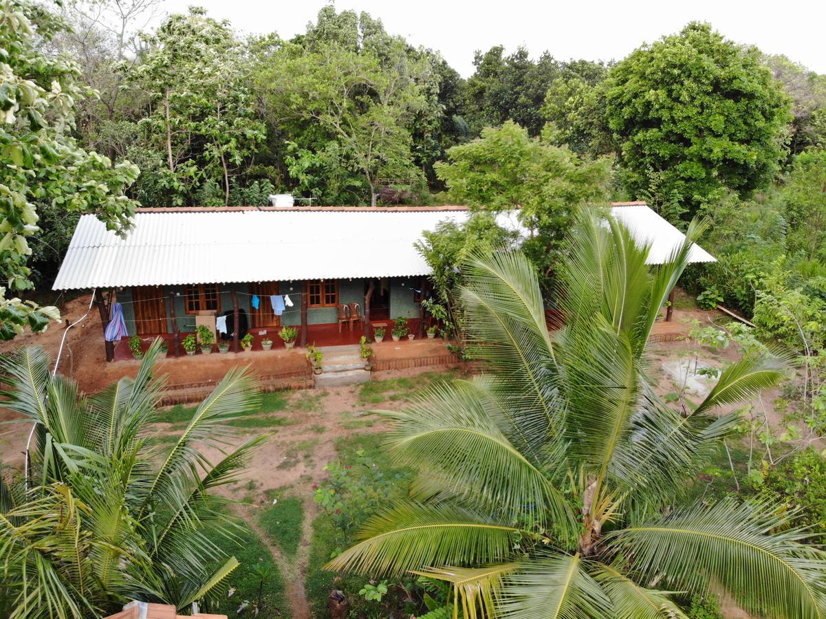 Araliya Self Cooking Resort Dambulla Buitenkant foto