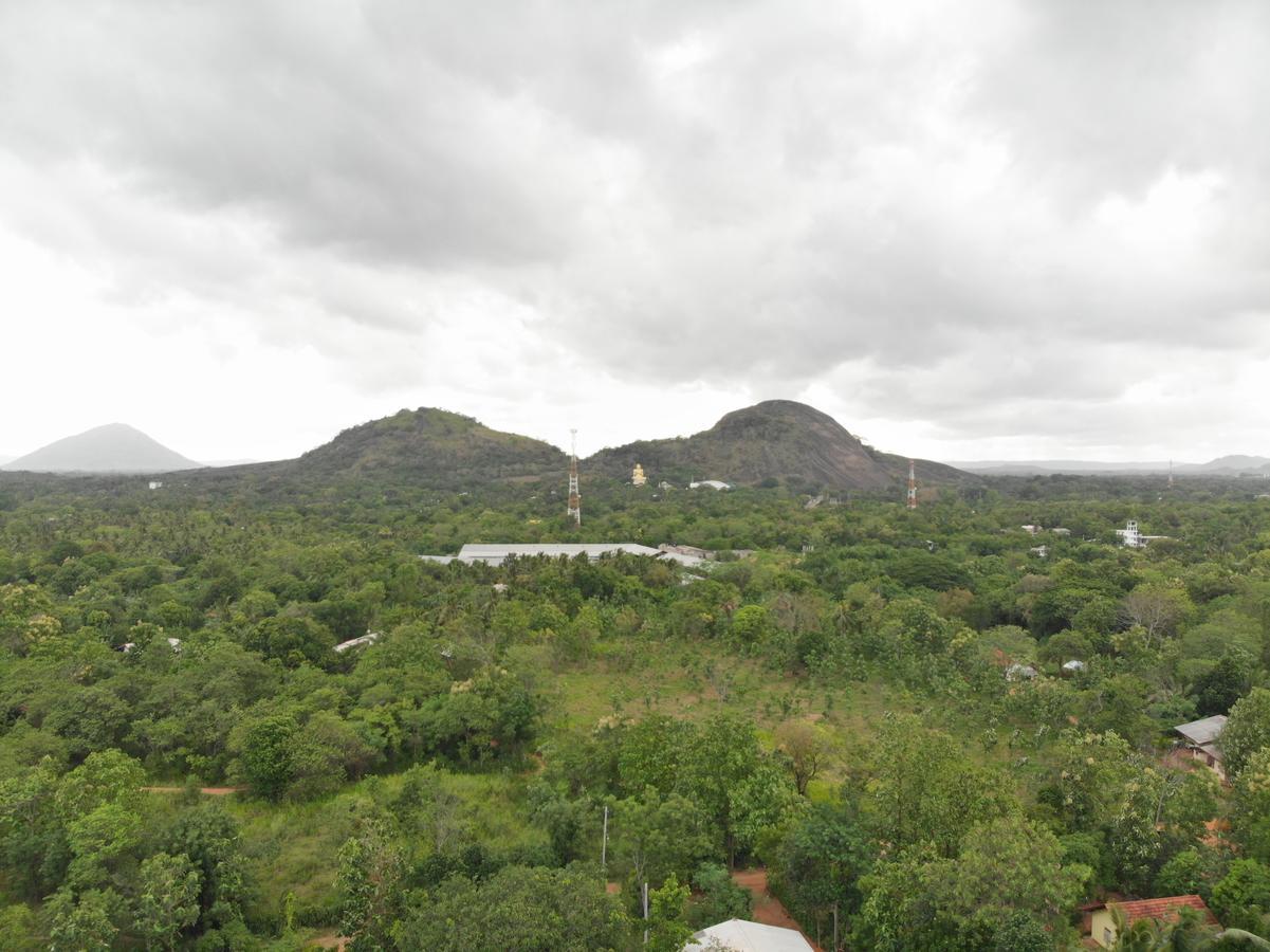 Araliya Self Cooking Resort Dambulla Buitenkant foto