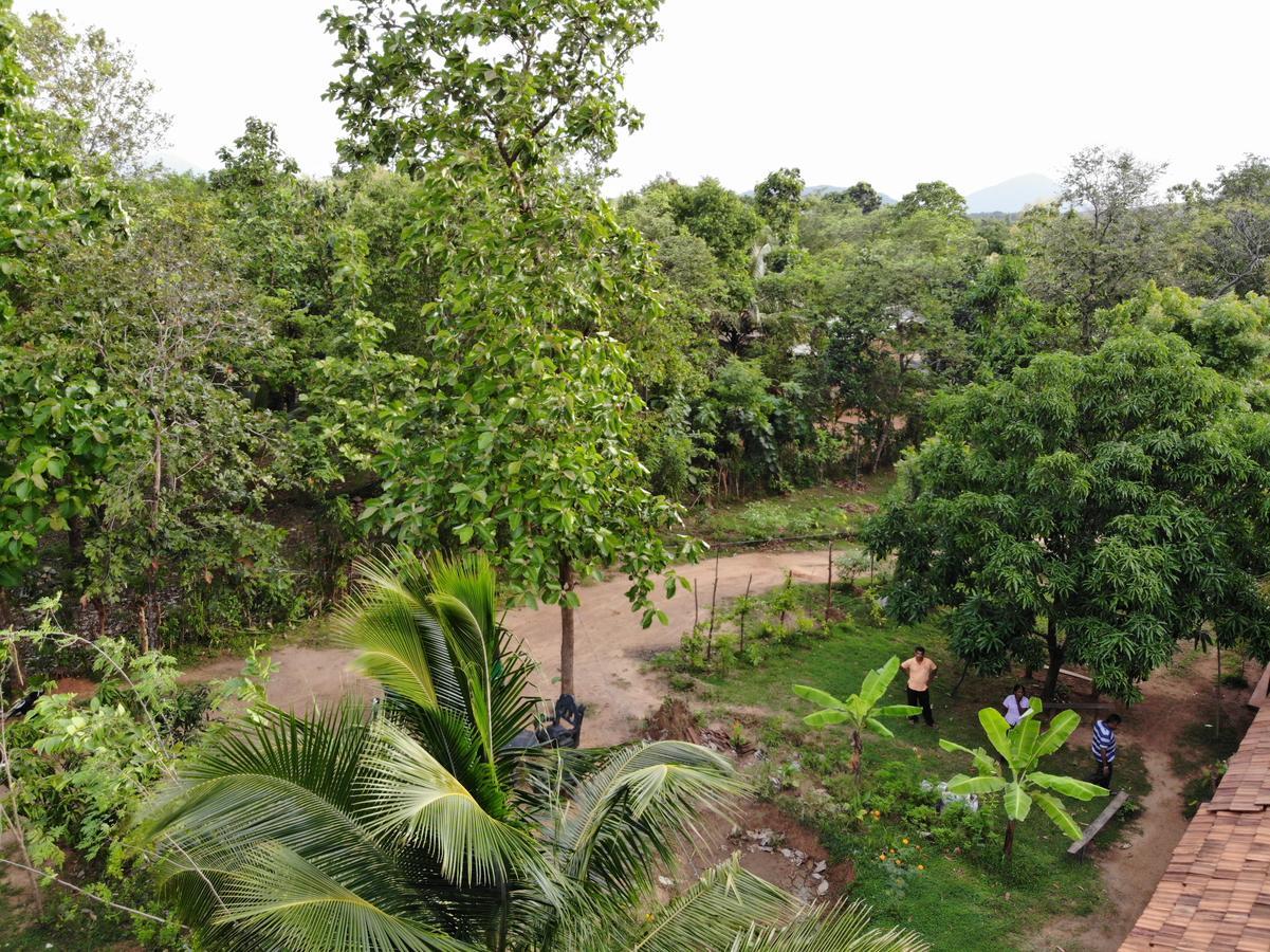 Araliya Self Cooking Resort Dambulla Buitenkant foto