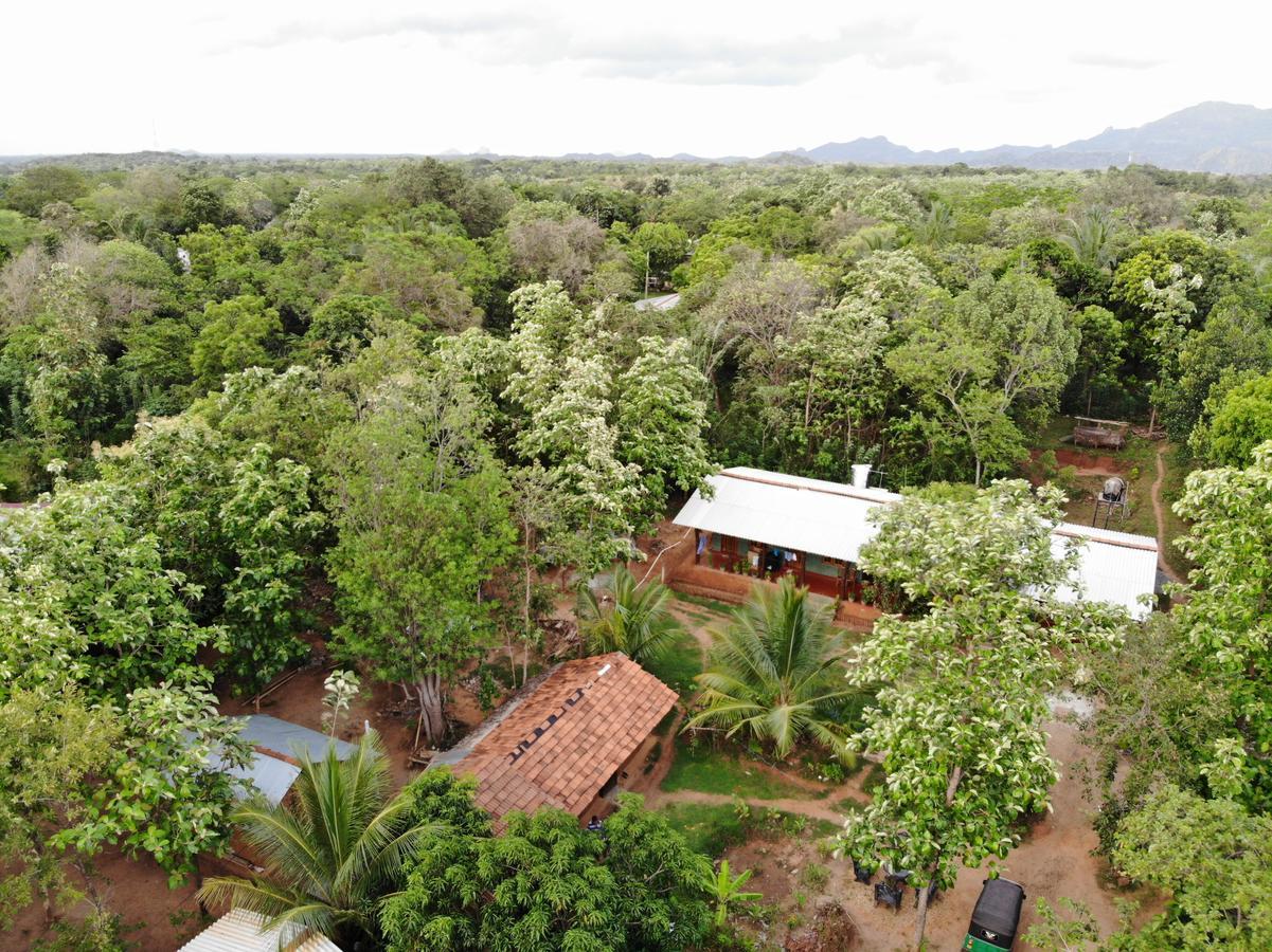 Araliya Self Cooking Resort Dambulla Buitenkant foto