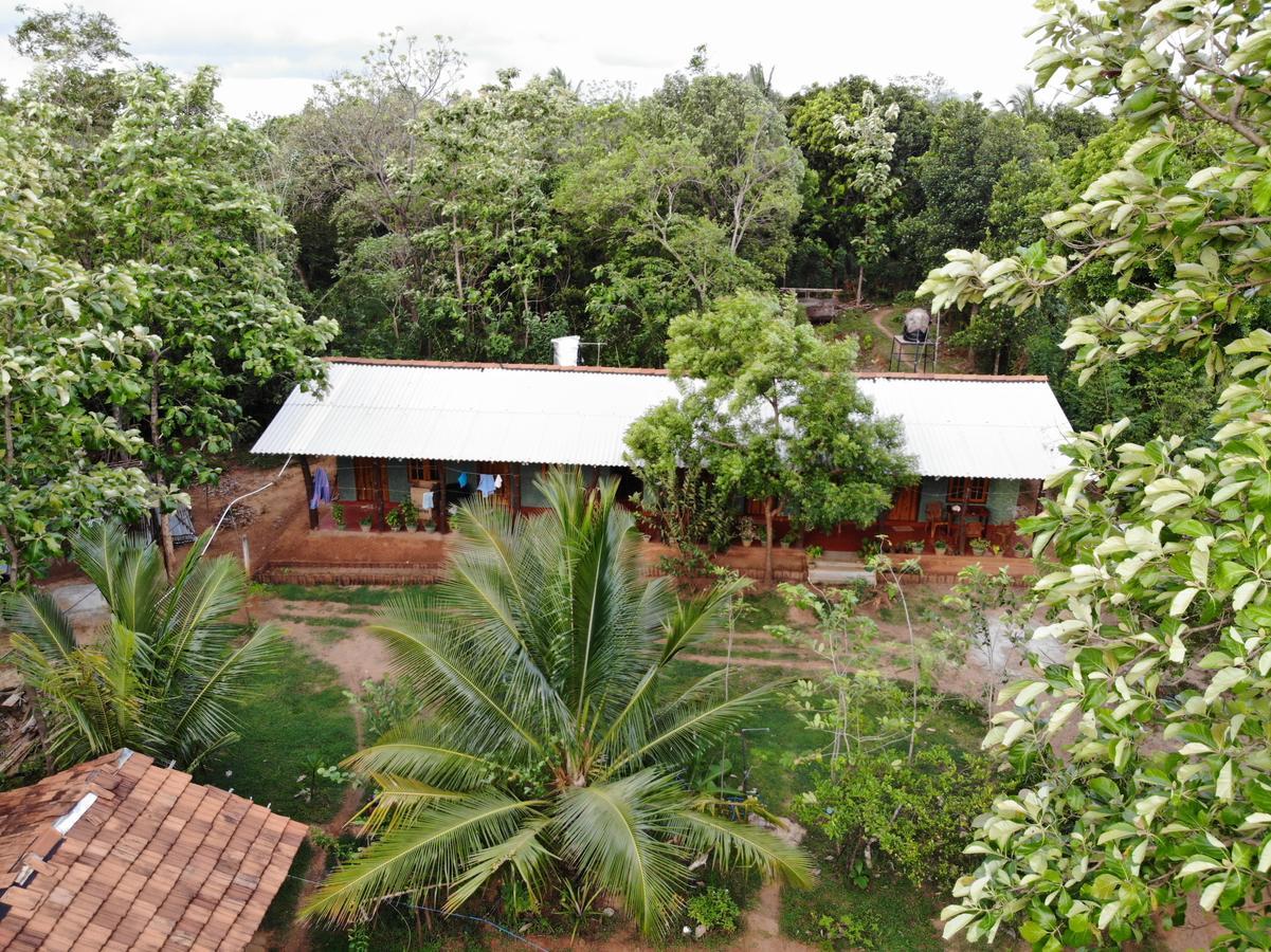 Araliya Self Cooking Resort Dambulla Buitenkant foto