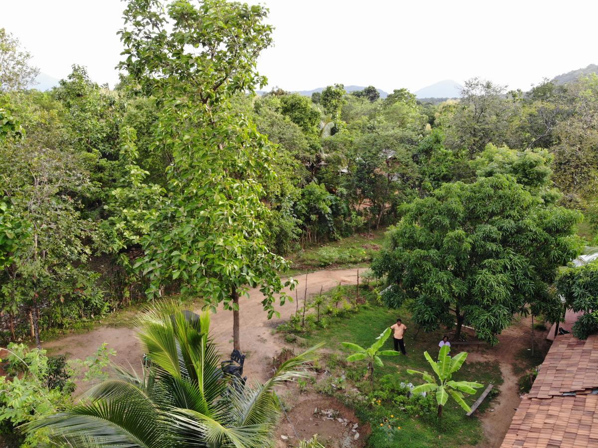 Araliya Self Cooking Resort Dambulla Buitenkant foto