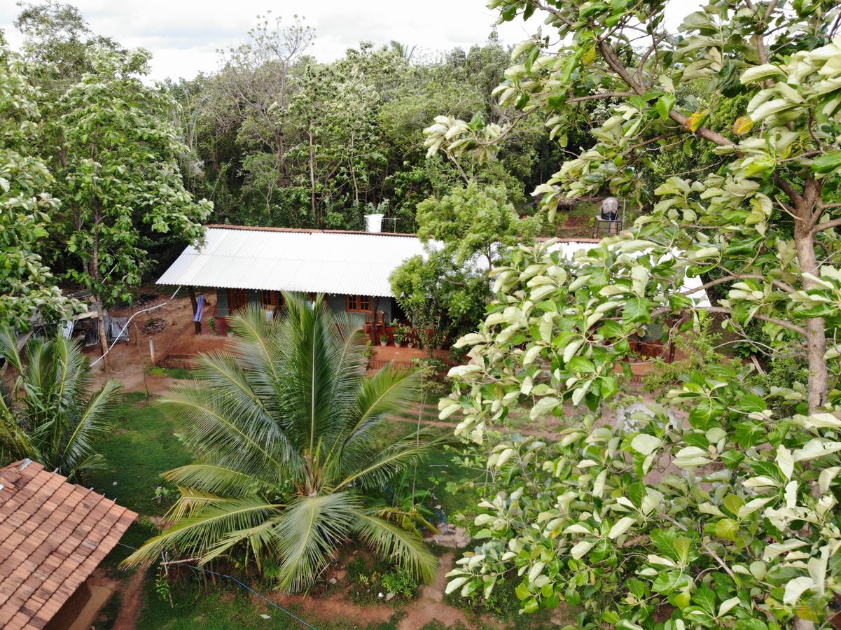 Araliya Self Cooking Resort Dambulla Buitenkant foto