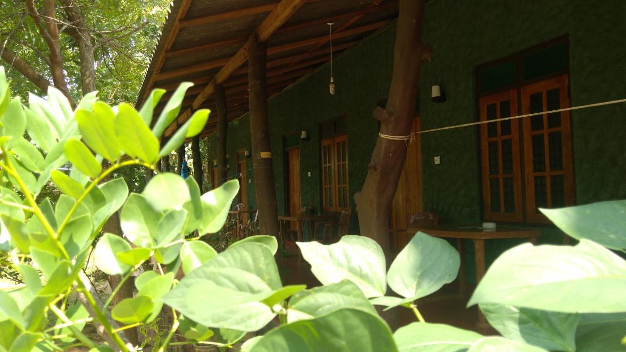 Araliya Self Cooking Resort Dambulla Buitenkant foto