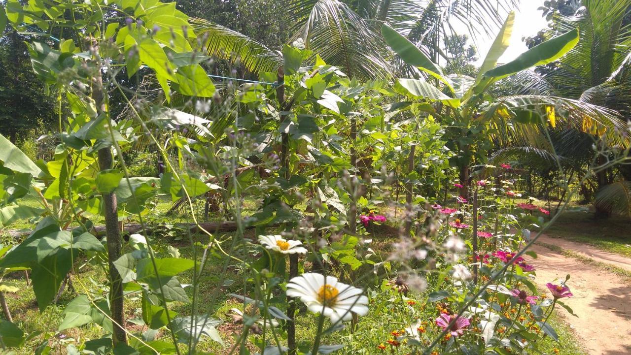 Araliya Self Cooking Resort Dambulla Buitenkant foto